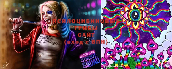 молекула духа Пролетарск