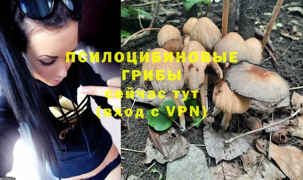каннабис Протвино