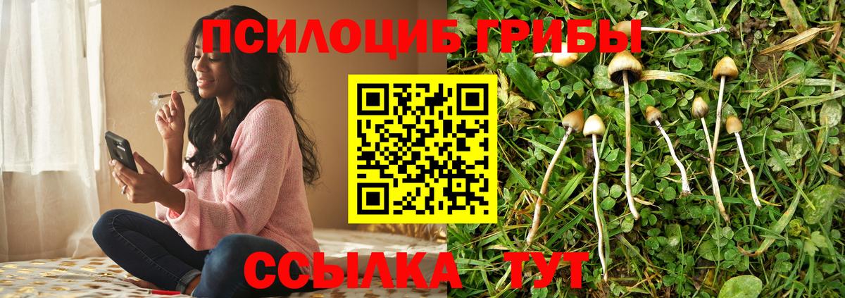 Псилоцибиновые грибы Cubensis Ярцево